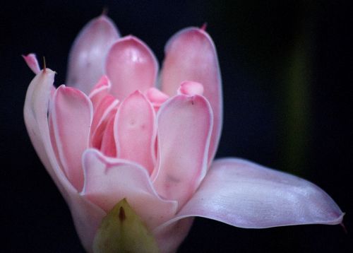 Fotografia de jesus - Galeria Fotografica: Alhambra - Foto: 