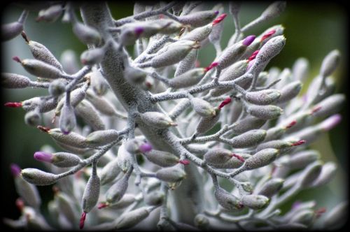 Fotografia de jesus - Galeria Fotografica: Alhambra - Foto: 