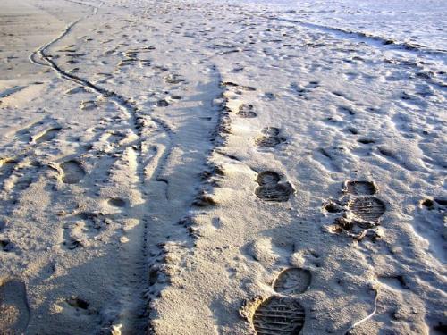 Fotografia de angel_m - Galeria Fotografica: playas imaginarias - Foto: in search of