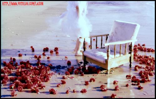 Fotografia de LA SON - Galeria Fotografica: fantasias fotograficas - Foto: playa