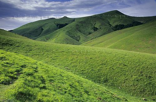 Fotografia de Otsoa y Garaio - Galeria Fotografica: Fotograf�a Otsoa y Garaio - Galer�a Digital - Foto: Foto 3