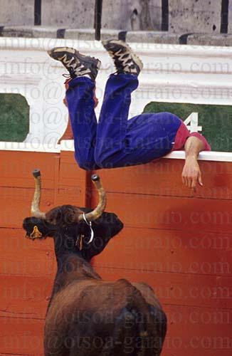 Fotografia de Otsoa y Garaio - Galeria Fotografica: Fotografa Otsoa y Garaio - Galera Digital - Foto: Foto 4