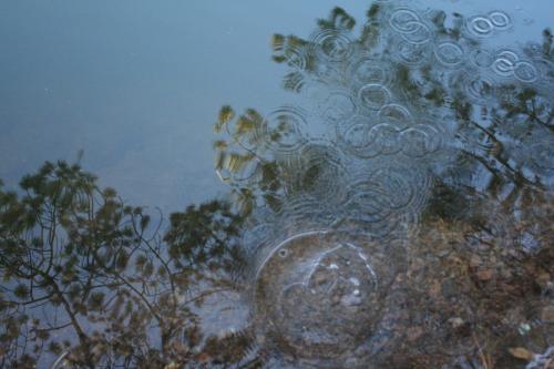 Fotografia de Momoztla - Galeria Fotografica: Cercano 2 - Foto: Que onda!!!