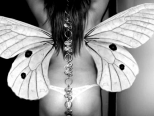 Fotografia de Gina - Galeria Fotografica: Blanco & Black - Foto: maripositas