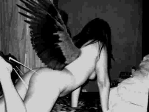 Fotografia de Gina - Galeria Fotografica: Blanco & Black - Foto: 