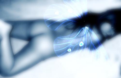 Fotografia de Gina - Galeria Fotografica: le toilet - Foto: Blu