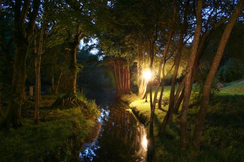 Fotografia de Mar Garcia - Galeria Fotografica: En la oscuridad de la noche - Foto: Camino hacia el bosque
