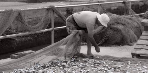 Fotografia de Mar Garcia - Galeria Fotografica: En la oscuridad de la noche - Foto: El Pescador