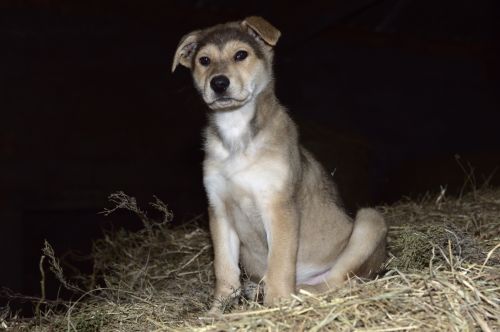 Fotografia de Otsoa y Garaio - Galeria Fotografica: Fotograf�a Otsoa y Garaio - Galer�a Digital - Foto: 