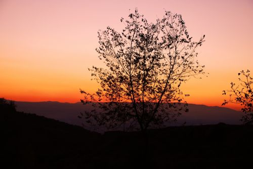 Fotografia de pepinno - Galeria Fotografica: varios - Foto: 