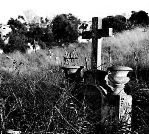 Fotografia de Sin Nombre - Galeria Fotografica: ALGO ASI POR SER... - Foto:  La Cruz