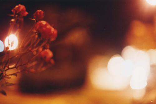 Fotografia de Rodrigo Moya - Galeria Fotografica: Via del Mar Nocturno - Foto: Flor