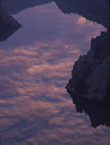 Fotografia de Sin Nombre - Galeria Fotografica: Naturaleza Intima - Foto: Molinar