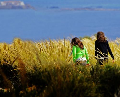 Fotografia de RooMphoto  Estudio digital fotgrafos - Galeria Fotografica: Referencias - Foto: publicidad