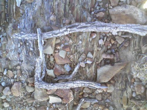 Fotografia de Martin Aisama - Galeria Fotografica: Santo Domingo - Foto: 