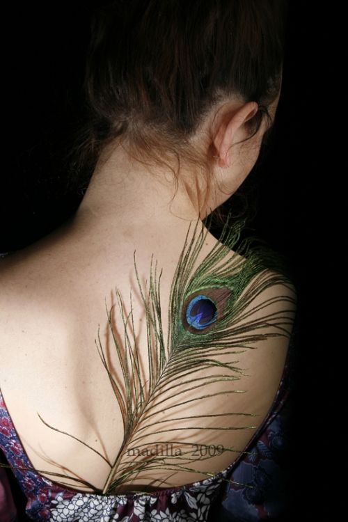 Fotografia de Marta - Galeria Fotografica: Plumas - Foto: De espaldas