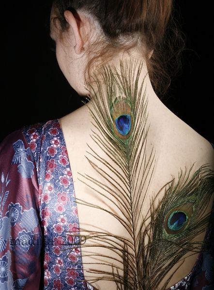 Fotografia de Marta - Galeria Fotografica: Plumas - Foto: La espalda y la pluma