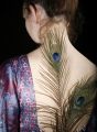 Foto de  Marta - Galería: Plumas - Fotografía: La espalda y la pluma