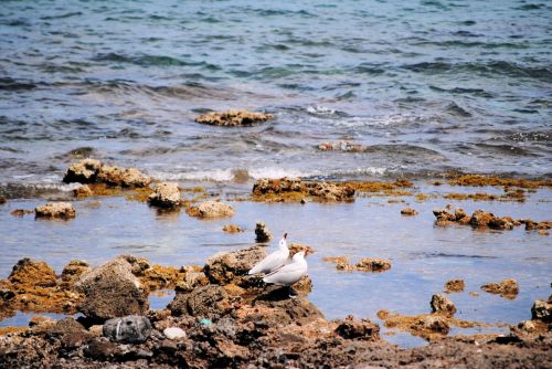 Fotografia de Barbara Pou y asociado - Galeria Fotografica: Coloni de Sant Pere - Foto: 