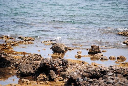 Fotografia de Barbara Pou y asociado - Galeria Fotografica: Coloni de Sant Pere - Foto: 