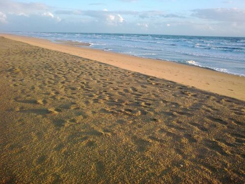 Fotografia de DIBADEL - Galeria Fotografica: Detalles - Foto: El Dorado