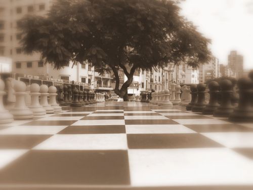 Fotografia de JuanBenz - Galeria Fotografica: ...por ahora no tengo Reflex..... - Foto: 