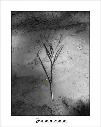 Fotografia de juanki - Galeria Fotografica: Botica - Foto: naturaleza muerta