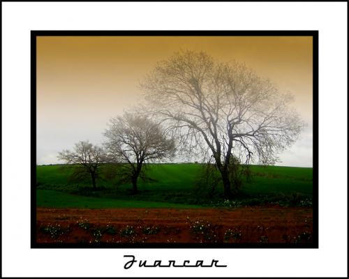 Fotografia de juanki - Galeria Fotografica: Botica - Foto: Boira