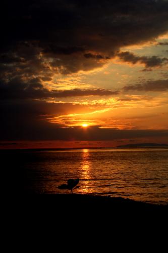 Fotografia de catalina - Galeria Fotografica:  en lente - Foto: 