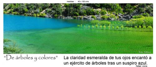 Fotografia de fotonatura3d - Galeria Fotografica: AYS�N... y las riquezas amenazadas de la patagonia chilena - Foto: DE �RBOLES Y COLORES