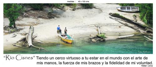 Fotografia de fotonatura3d - Galeria Fotografica: AYS�N... y las riquezas amenazadas de la patagonia chilena - Foto: R�O CISNES