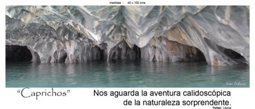 Fotografia de fotonatura3d - Galeria Fotografica: AYS�N... y las riquezas amenazadas de la patagonia chilena - Foto: CAPRICHOS
