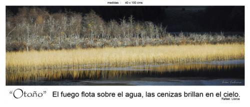 Fotografia de fotonatura3d - Galeria Fotografica: AYSN... y las riquezas amenazadas de la patagonia chilena - Foto: OTOO