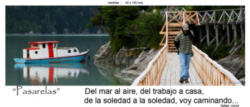 Fotografia de fotonatura3d - Galeria Fotografica: AYS�N... y las riquezas amenazadas de la patagonia chilena - Foto: PASARELAS