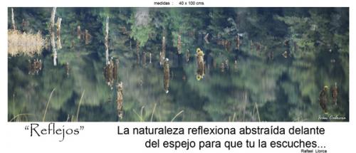 Fotografia de fotonatura3d - Galeria Fotografica: AYSN... y las riquezas amenazadas de la patagonia chilena - Foto: REFLEJOS