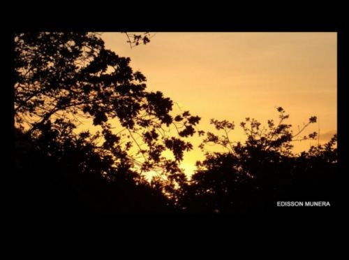 Fotografia de EDISSON - Galeria Fotografica: VARIOS - Foto: 