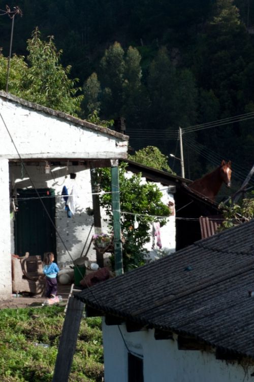 Fotografia de Monotone Pictures - Galeria Fotografica: Reportaje Fotografico por Boyaca - Foto: 