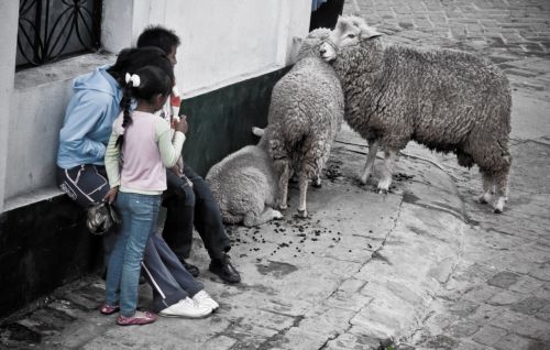 Fotografia de Monotone Pictures - Galeria Fotografica: Colombia y Su Gente - Foto: 