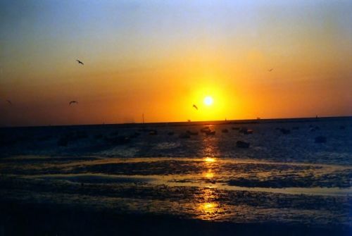 Fotografia de fotok - Galeria Fotografica: Aereas de Cadiz - Foto: 