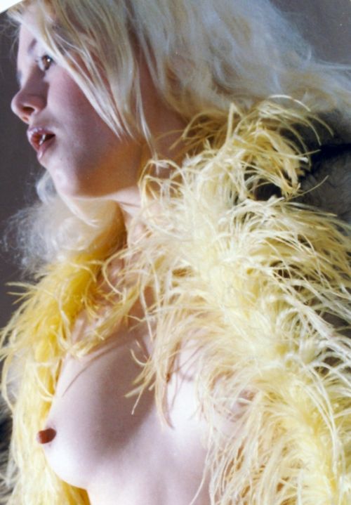 Fotografia de Javier Carrasco - Galeria Fotografica: Varios - Foto: Plumas