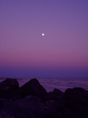 Fotografia de kontxa - Galeria Fotografica: LUCES - Foto: Violetas