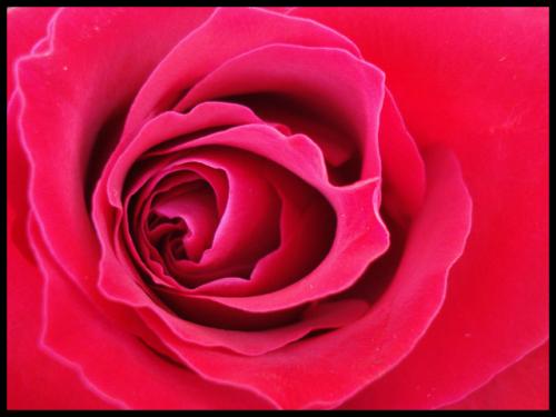 Fotografia de kontxa - Galeria Fotografica: LUCES - Foto: Una para todos los das