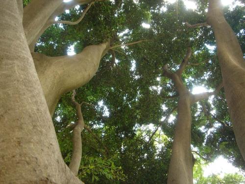 Fotografia de Lorena - Galeria Fotografica: Si hay Luz - Foto: altura