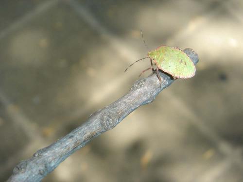 Fotografia de Lorena - Galeria Fotografica: Si hay Luz - Foto: Precipicio