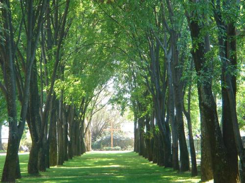 Fotografia de Lorena - Galeria Fotografica: Si hay Luz - Foto: Sendero