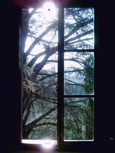 Fotografia de JR - Galeria Fotografica: Italy - Foto: Morning Light