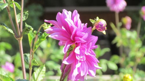 Fotografia de Geros Group Chile - Galeria Fotografica: Atardecer - Foto: 