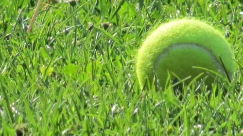 Fotografia de Geros Group Chile - Galeria Fotografica: Atardecer - Foto: 