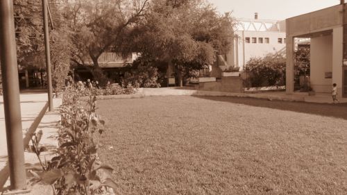 Fotografia de Geros Group Chile - Galeria Fotografica: Atardecer - Foto: 