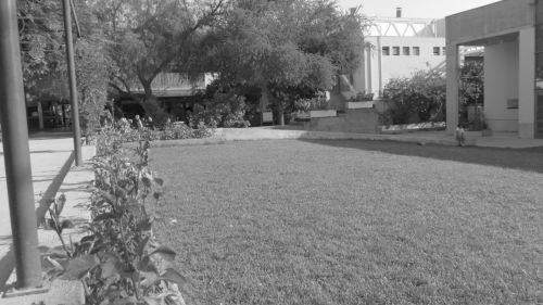 Fotografia de Geros Group Chile - Galeria Fotografica: Atardecer - Foto: 